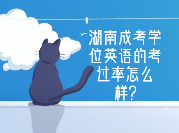 湖南成人高考的學位英語考過率