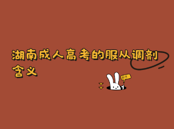 湖南成考服從調(diào)劑含義